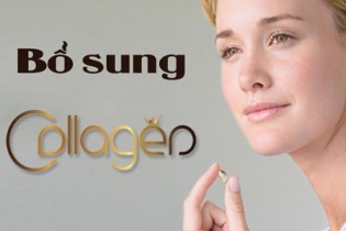 Collagen và vai trò của collagen