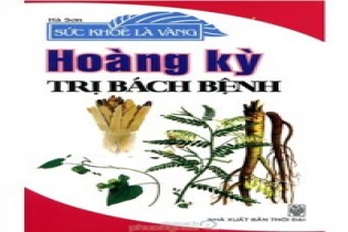 Hoàng kỳ và công dụng của Hoàng kỳ trong đông y